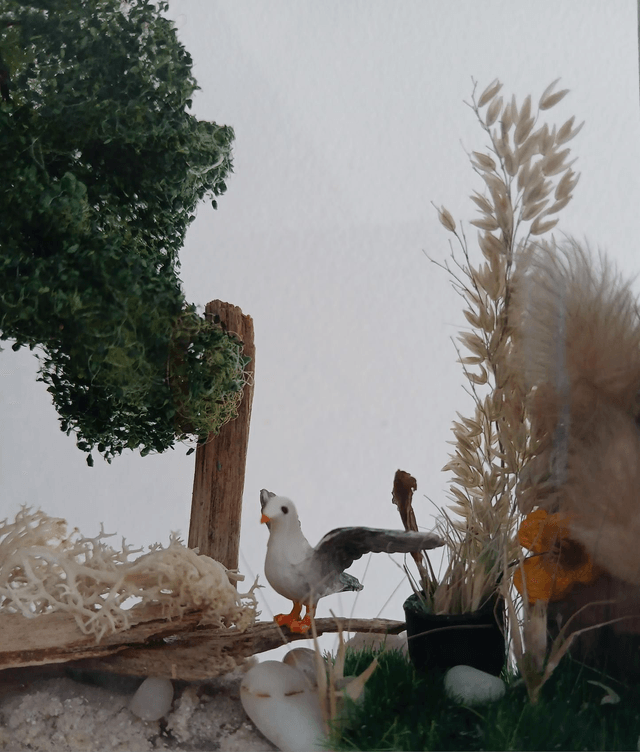 La Forêt qui Respire la Mer